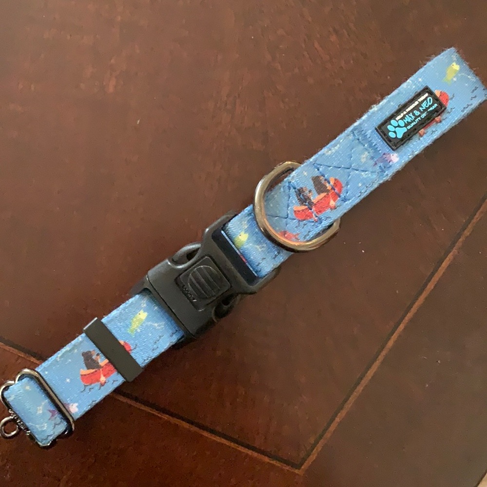 Max & Neo blue dog collar